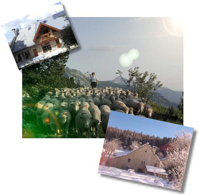 Gite vercors